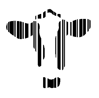 Sapien Technologies